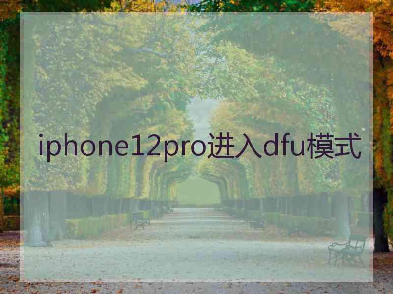 iphone12pro进入dfu模式