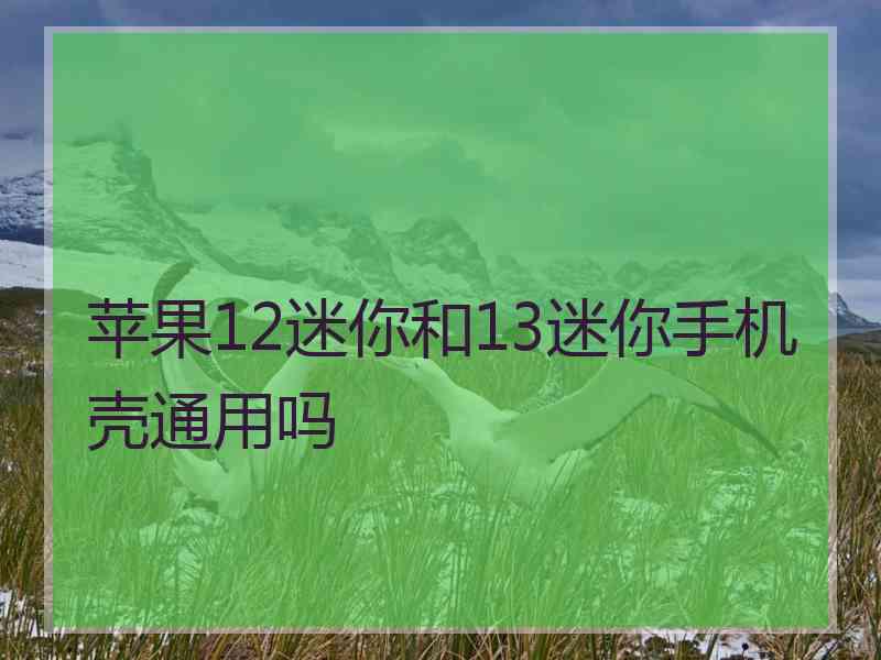 苹果12迷你和13迷你手机壳通用吗