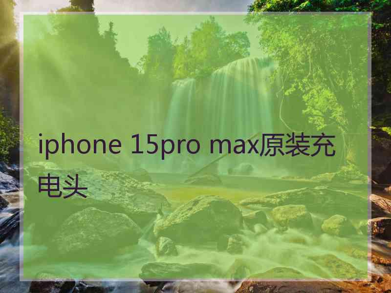 iphone 15pro max原装充电头