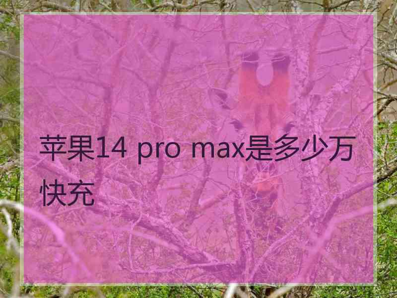 苹果14 pro max是多少万快充