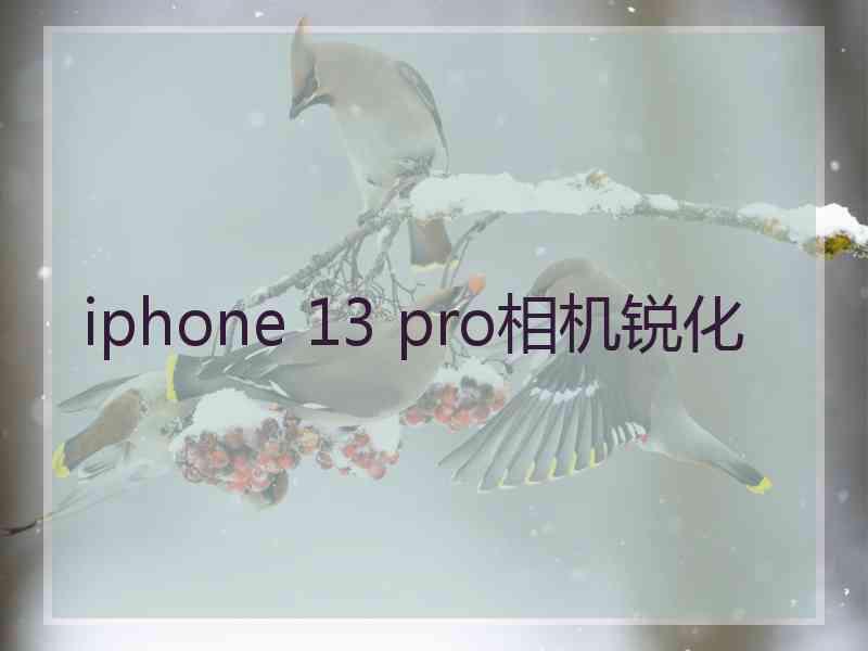 iphone 13 pro相机锐化