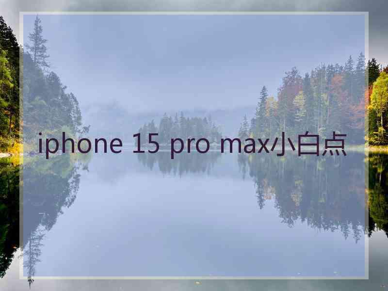 iphone 15 pro max小白点