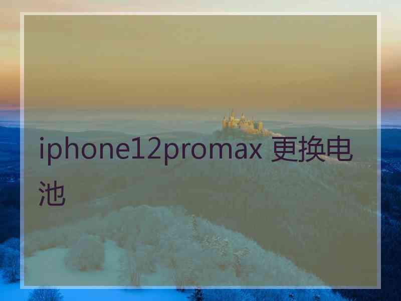 iphone12promax 更换电池