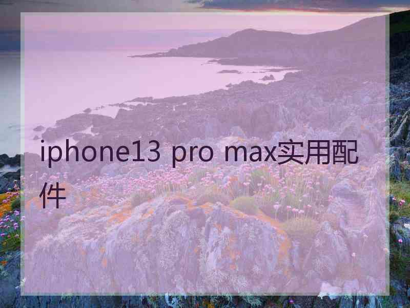 iphone13 pro max实用配件