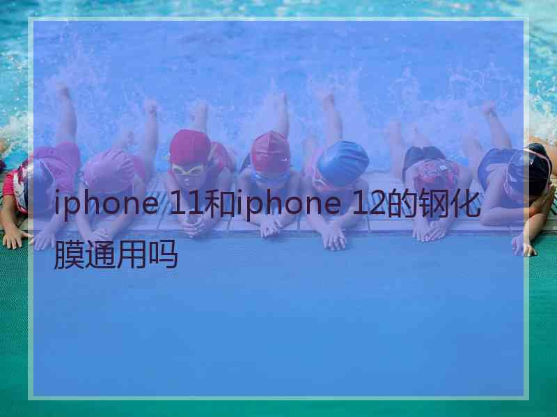 iphone 11和iphone 12的钢化膜通用吗