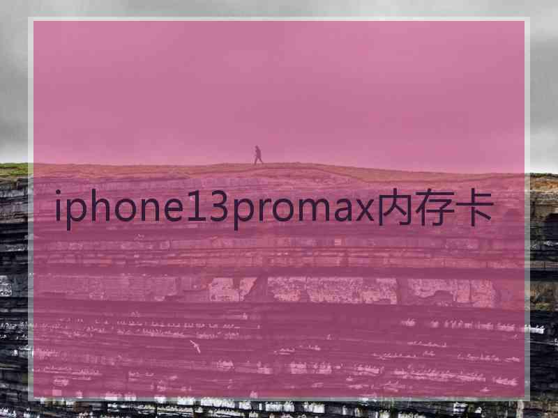 iphone13promax内存卡