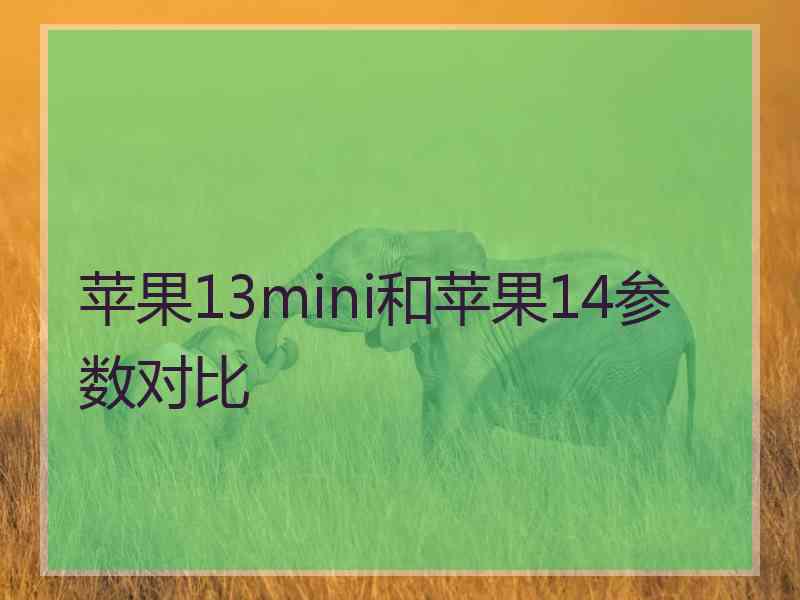 苹果13mini和苹果14参数对比