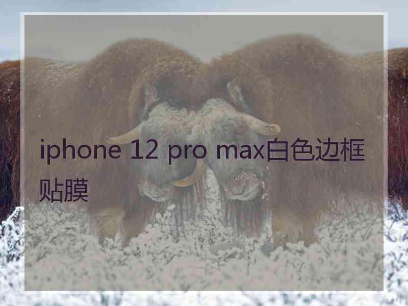 iphone 12 pro max白色边框贴膜