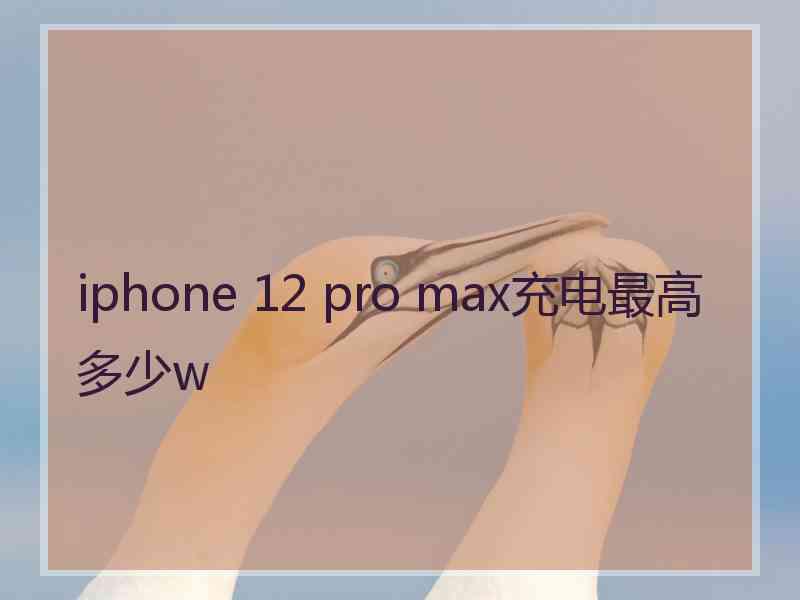 iphone 12 pro max充电最高多少w