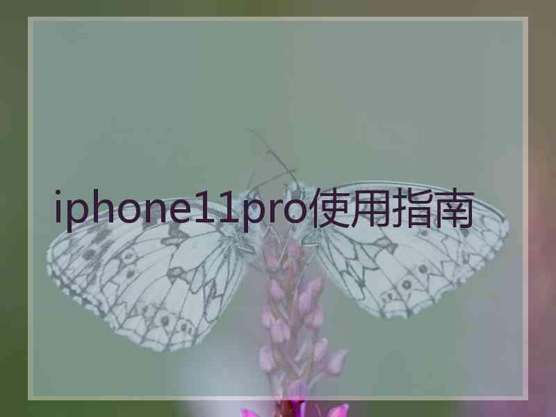 iphone11pro使用指南