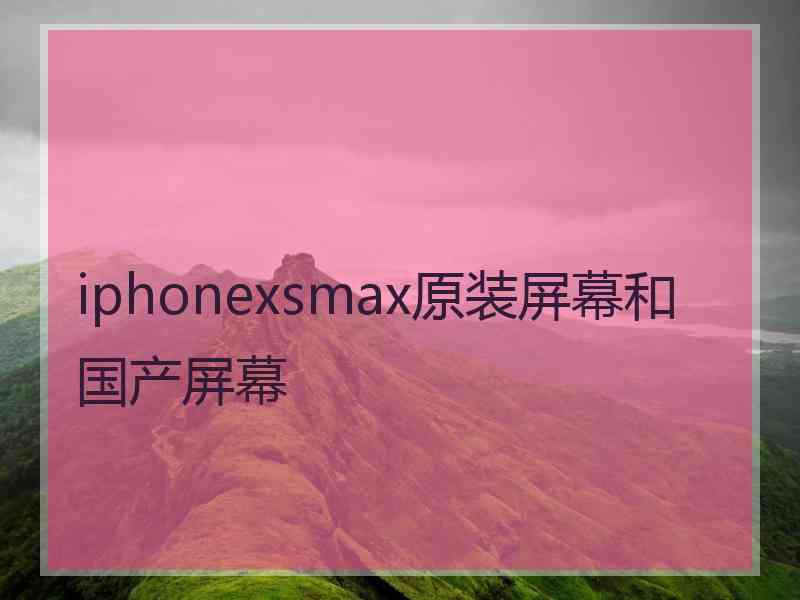 iphonexsmax原装屏幕和国产屏幕