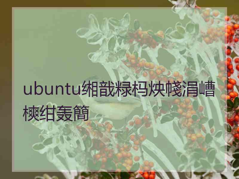 ubuntu缃戠粶杩炴帴涓嶆樉绀轰簡