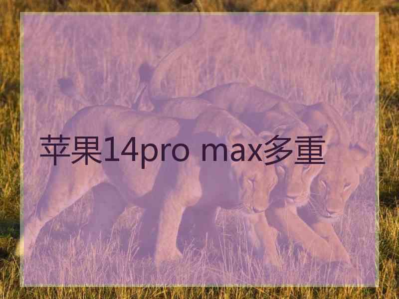 苹果14pro max多重