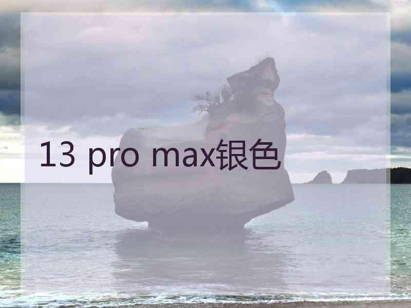 13 pro max银色