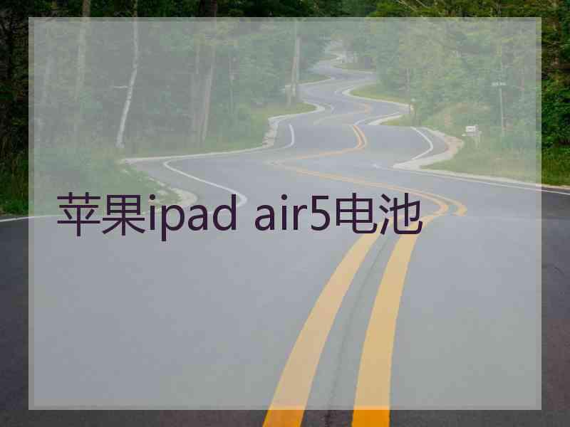 苹果ipad air5电池