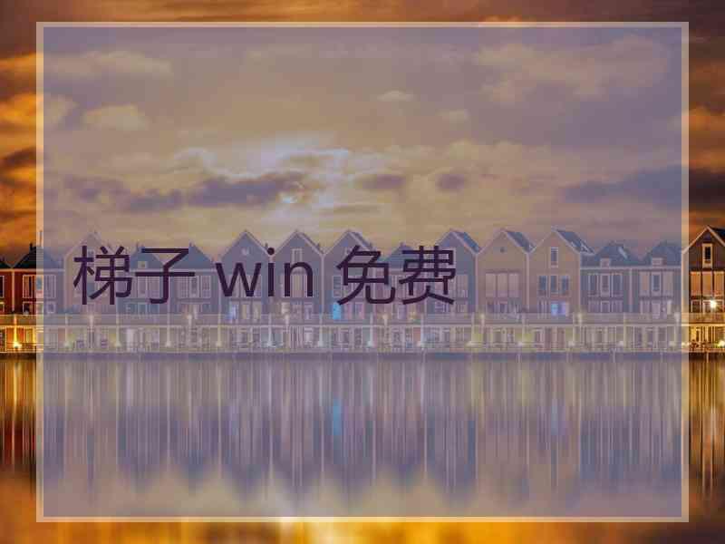 梯子 win 免费