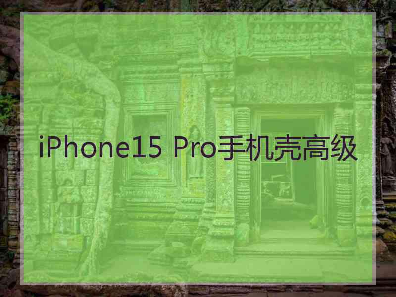 iPhone15 Pro手机壳高级