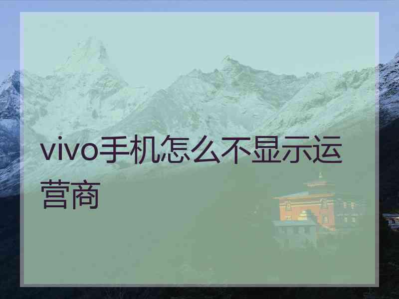 vivo手机怎么不显示运营商