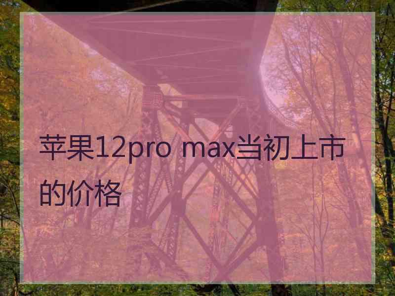 苹果12pro max当初上市的价格