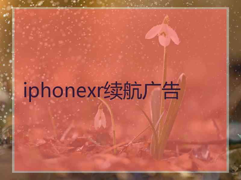 iphonexr续航广告