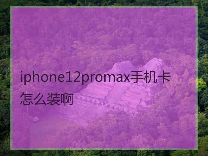 iphone12promax手机卡怎么装啊