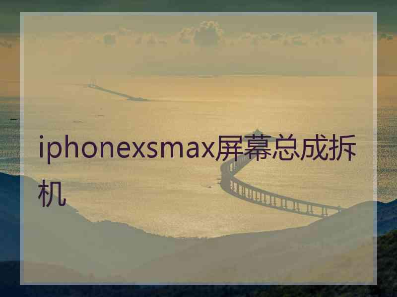 iphonexsmax屏幕总成拆机