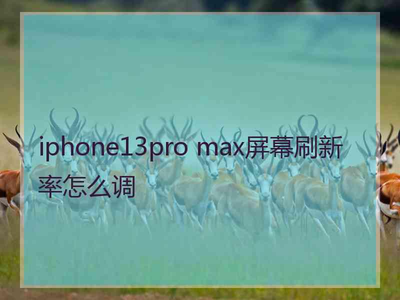 iphone13pro max屏幕刷新率怎么调