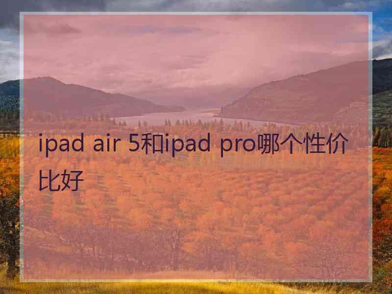 ipad air 5和ipad pro哪个性价比好