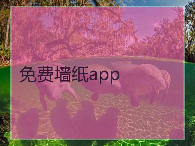 免费墙纸app