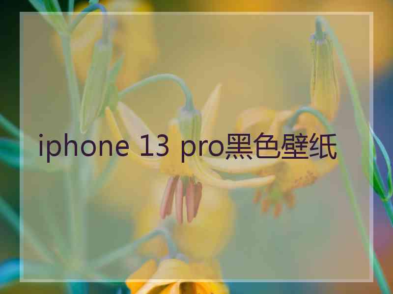 iphone 13 pro黑色壁纸