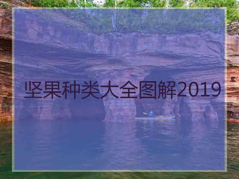 坚果种类大全图解2019