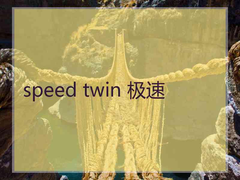 speed twin 极速