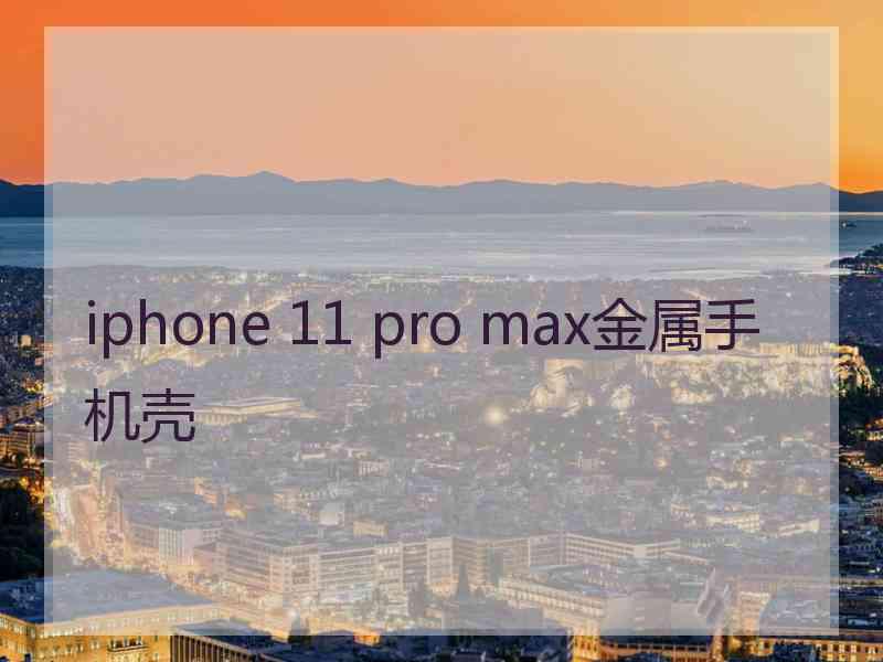 iphone 11 pro max金属手机壳