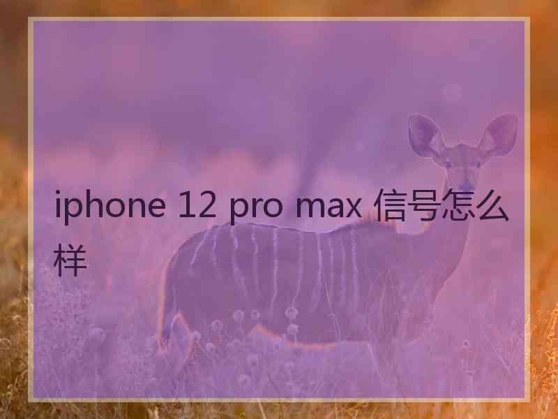 iphone 12 pro max 信号怎么样