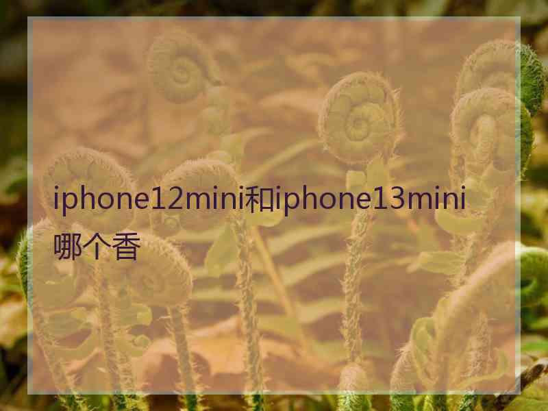 iphone12mini和iphone13mini哪个香