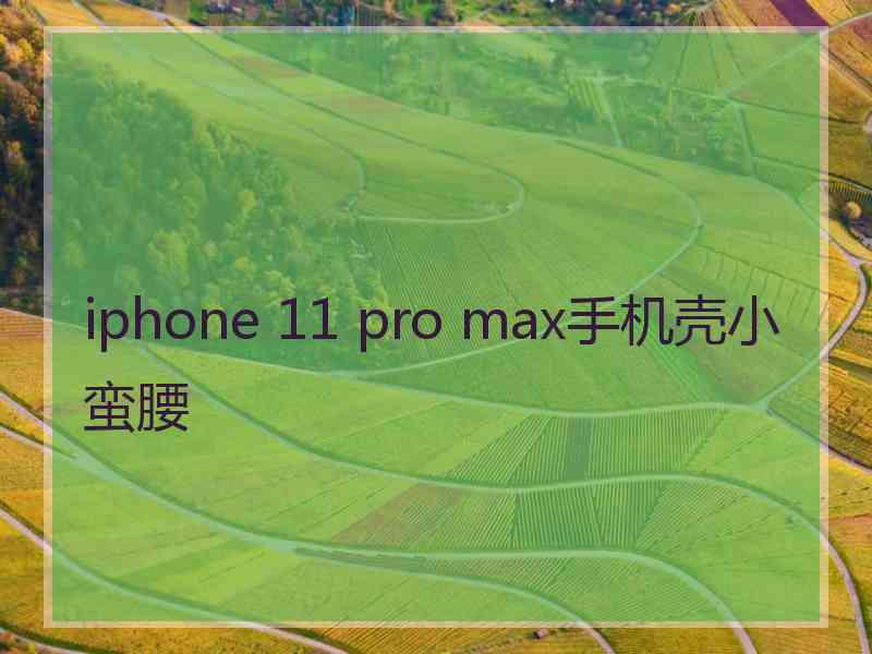 iphone 11 pro max手机壳小蛮腰