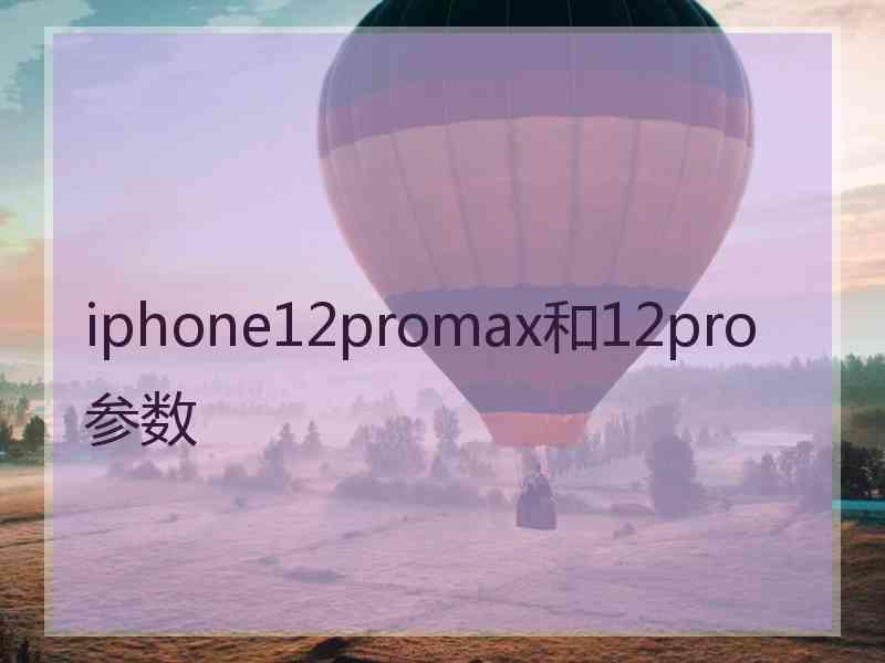 iphone12promax和12pro参数