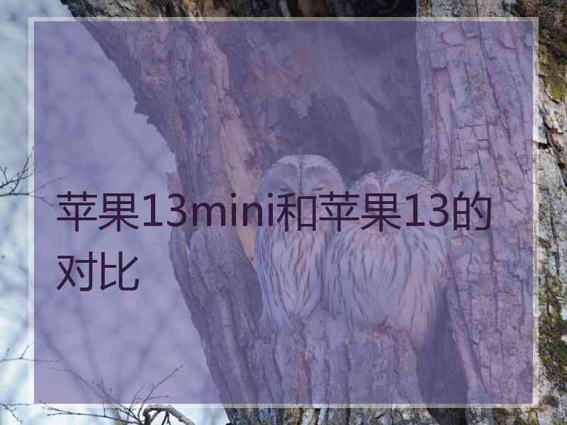 苹果13mini和苹果13的对比