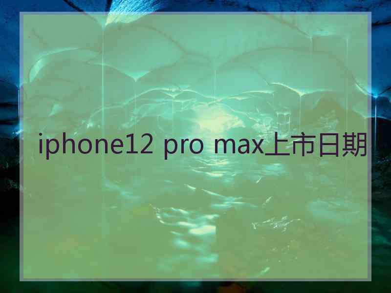 iphone12 pro max上市日期