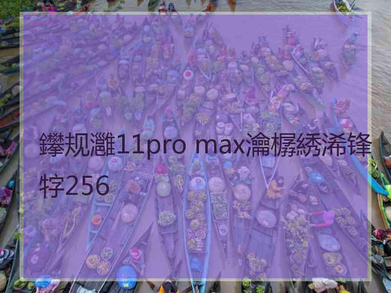 鑻规灉11pro max瀹樼綉浠锋牸256