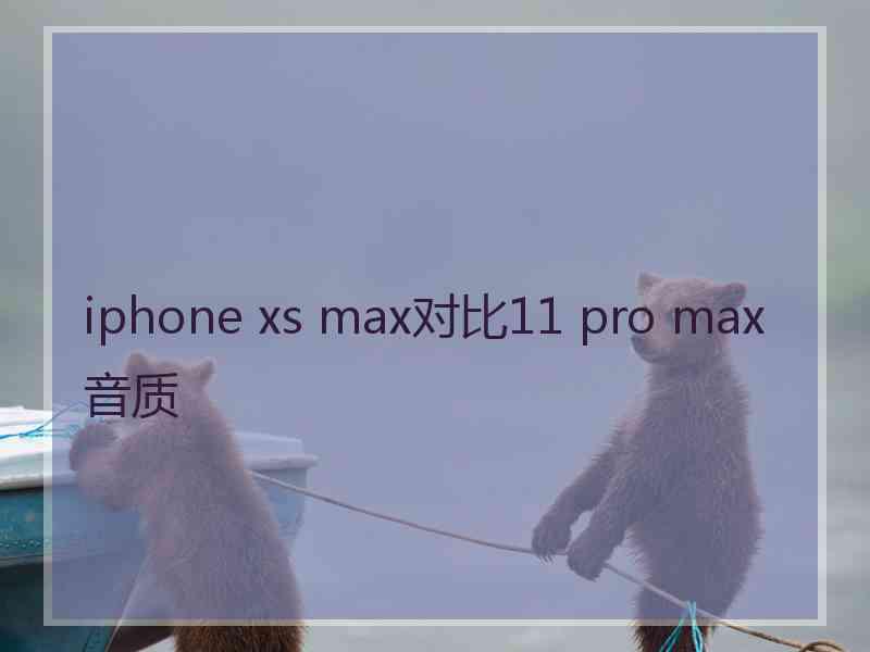 iphone xs max对比11 pro max音质