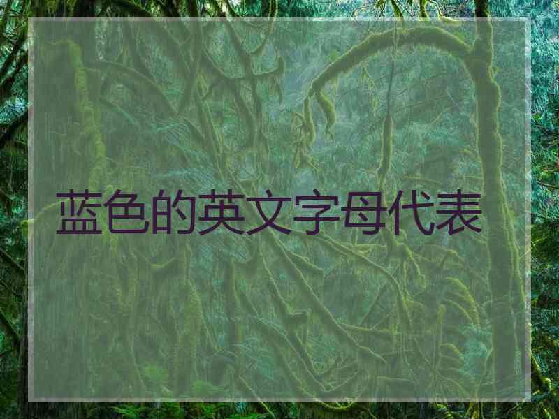 蓝色的英文字母代表