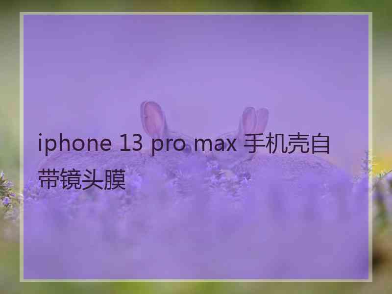 iphone 13 pro max 手机壳自带镜头膜