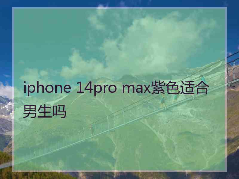 iphone 14pro max紫色适合男生吗