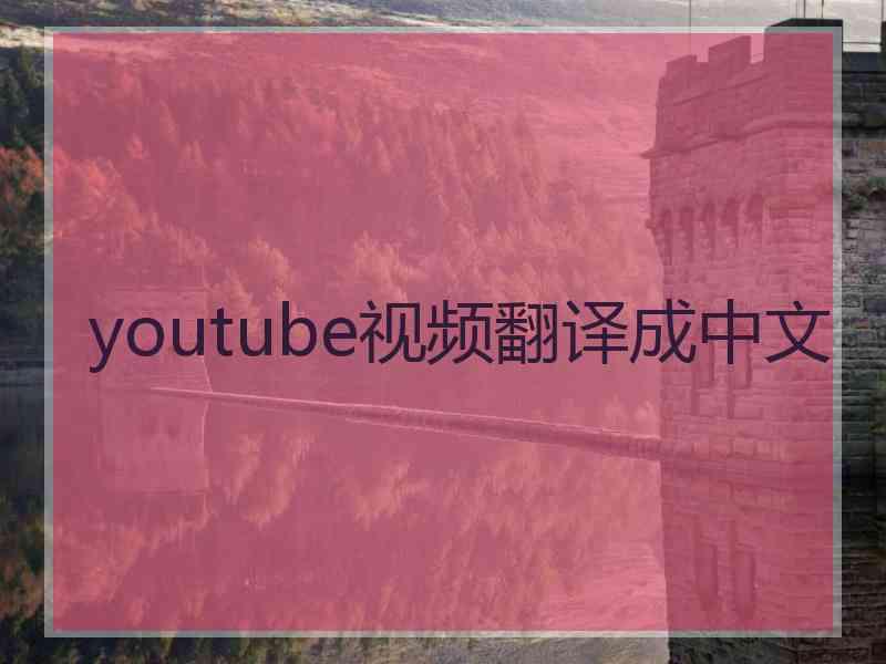 youtube视频翻译成中文