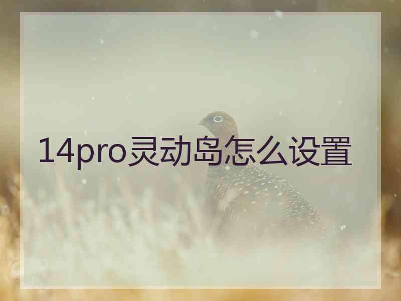 14pro灵动岛怎么设置