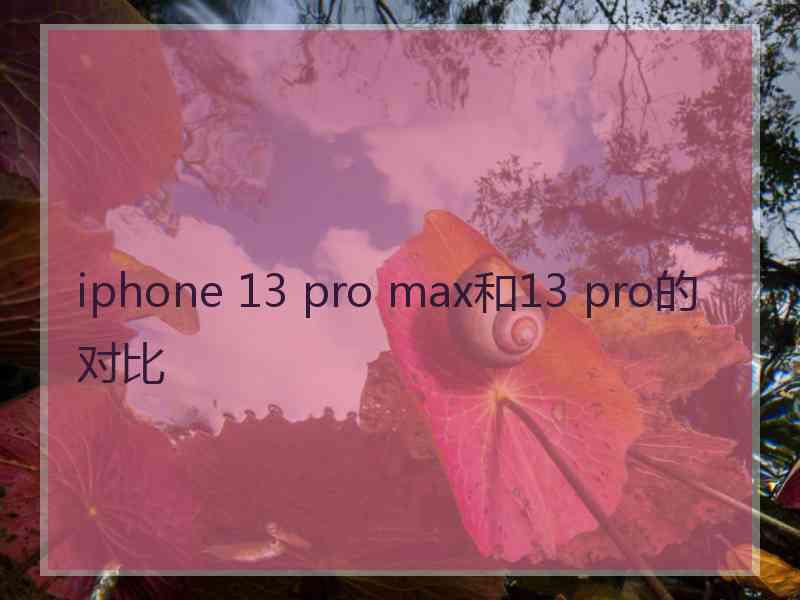 iphone 13 pro max和13 pro的对比