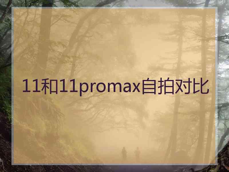 11和11promax自拍对比