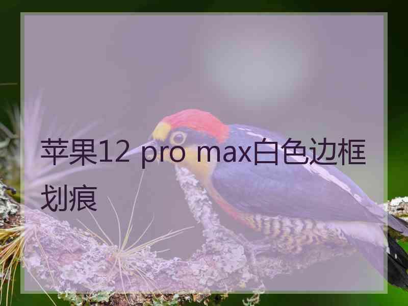 苹果12 pro max白色边框划痕