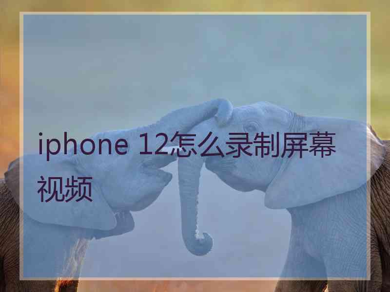 iphone 12怎么录制屏幕视频